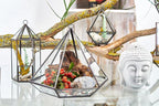 Geometric Crystal Display Terrarium — Large Diamond Brass Frame