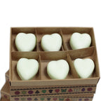 Apple Spice Wax Melts Box of 6
