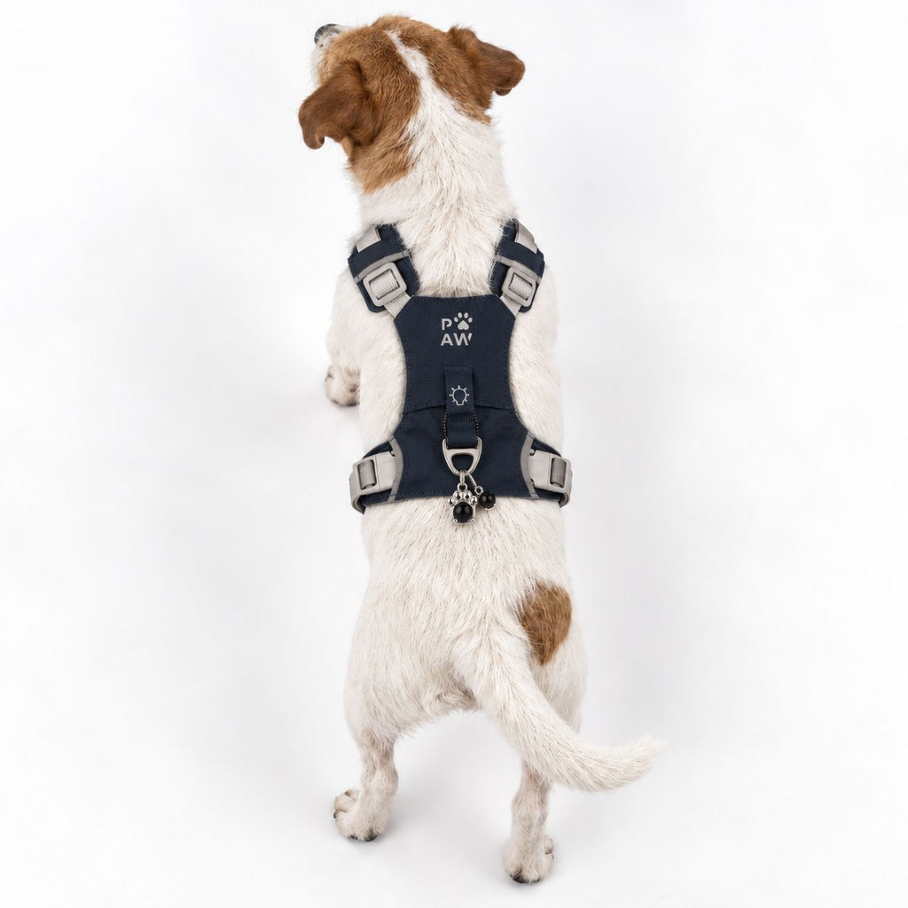 Dog Step-In Guardian Harness with Reflective Mesh & Black Obsidian Charm - Rock Grey - Small (4-8kg)