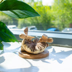 Handmade Parasite Wood Carving — Bees in the Works