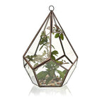 Geometric Crystal Display Terrarium — Large Pentagon