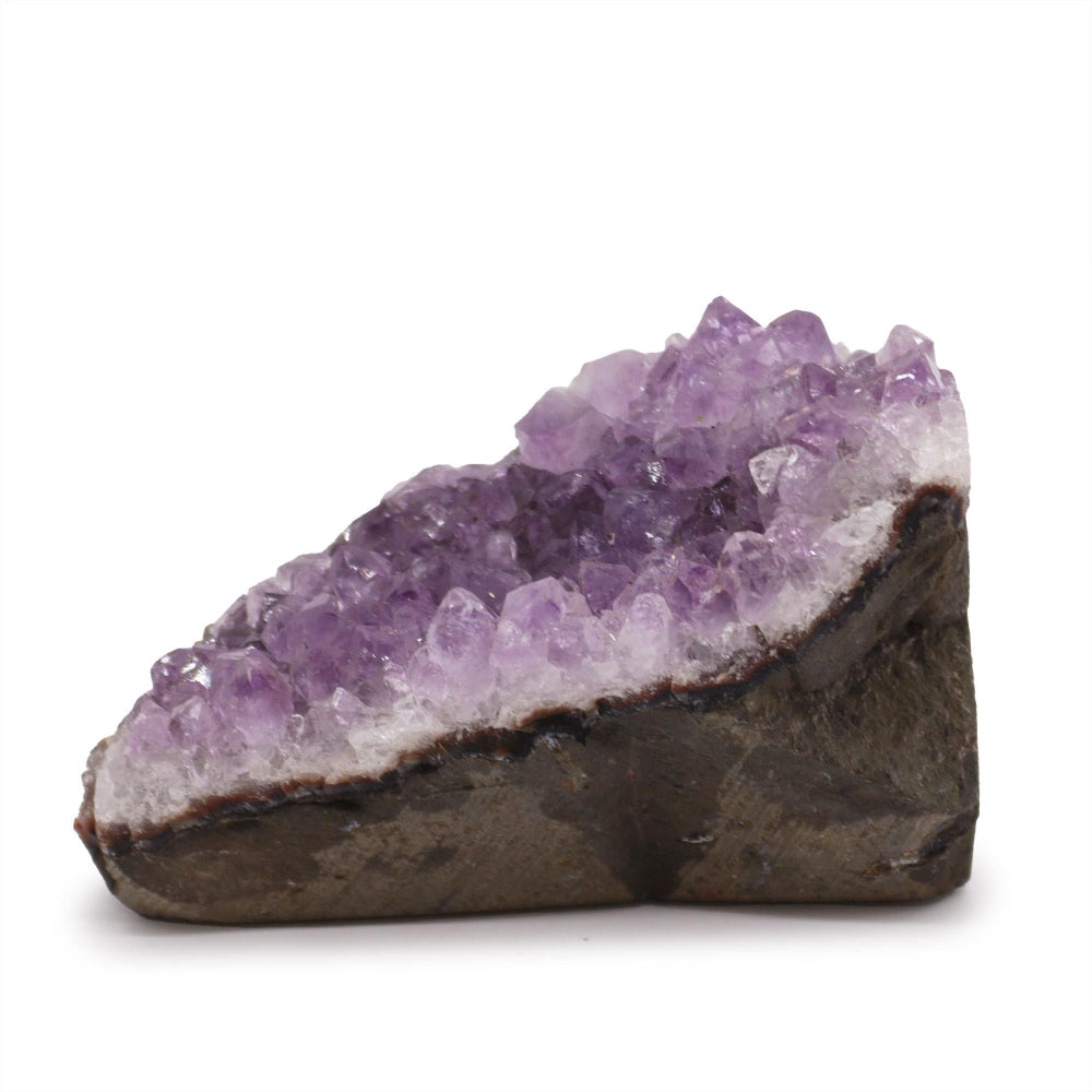 Medium Natural High Grade Amethyst Standing Cluster
