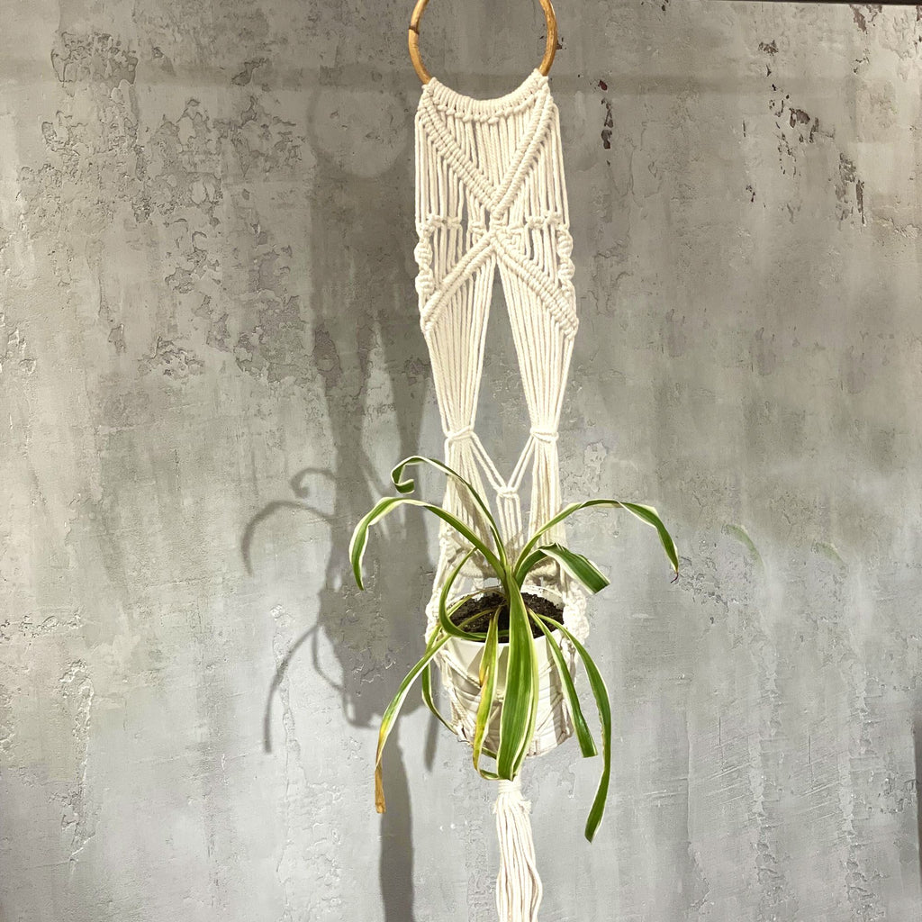 Long Macrame Pot Holder With Ratten Hoop