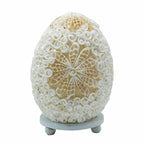 The Shell Lamp | Cut Art Oval