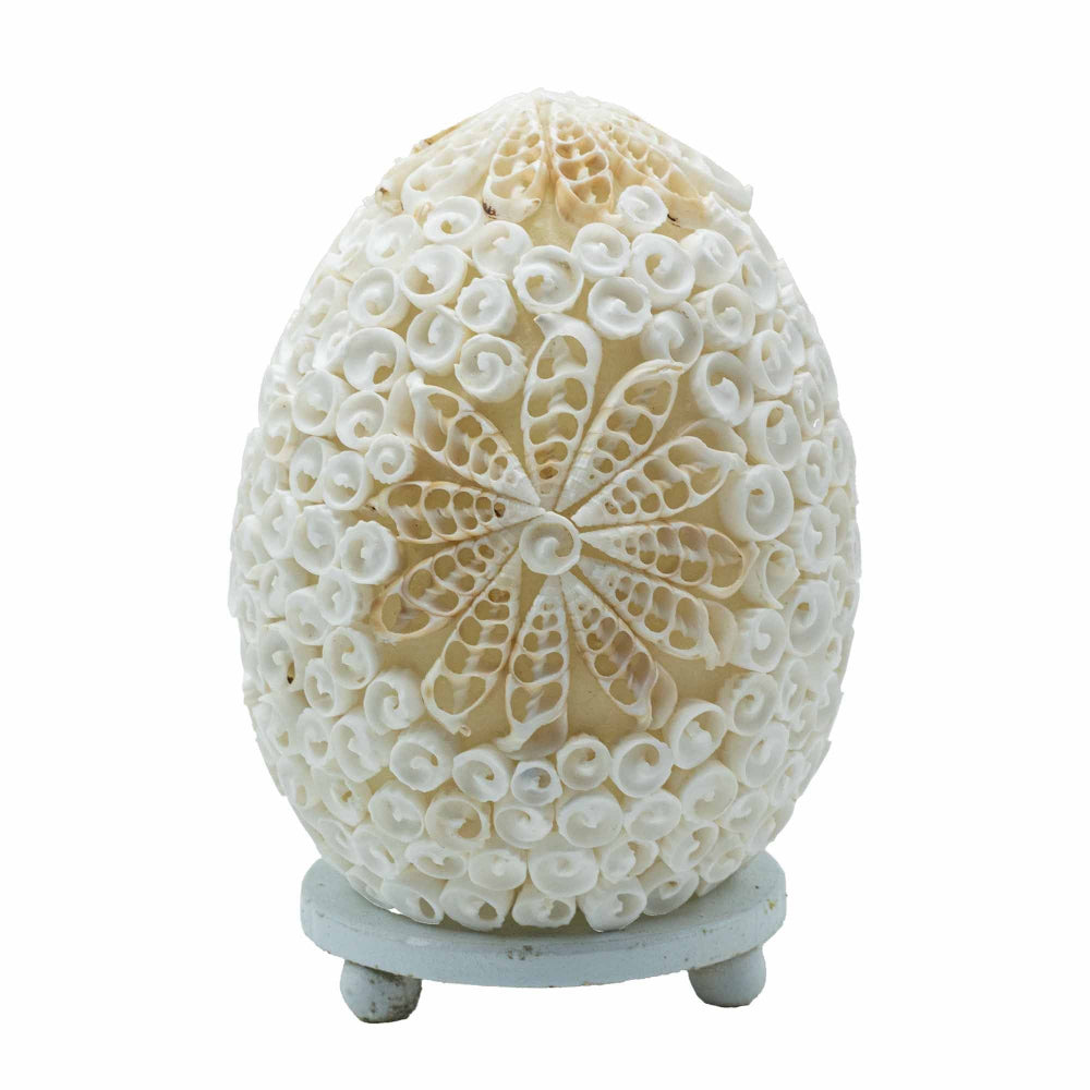 The Shell Lamp | Cut Art Oval