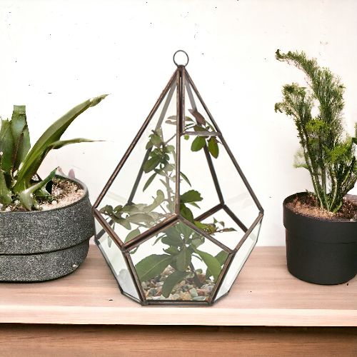 Geometric Crystal Display Terrarium — Large Pentagon