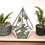 Geometric Crystal Display Terrarium — Large Pentagon