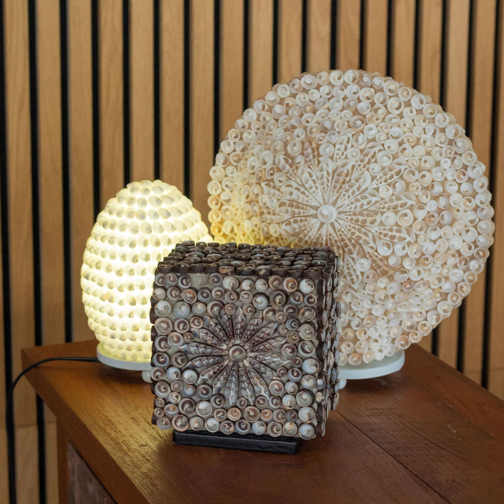 The Shell Lamp | Cut Art Oval