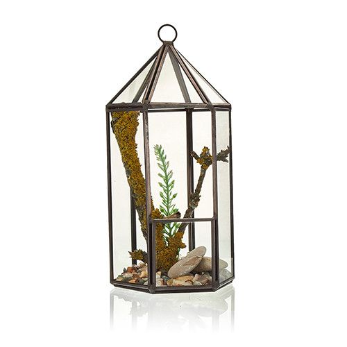 Crystal Sanctuary Lantern Terrarium