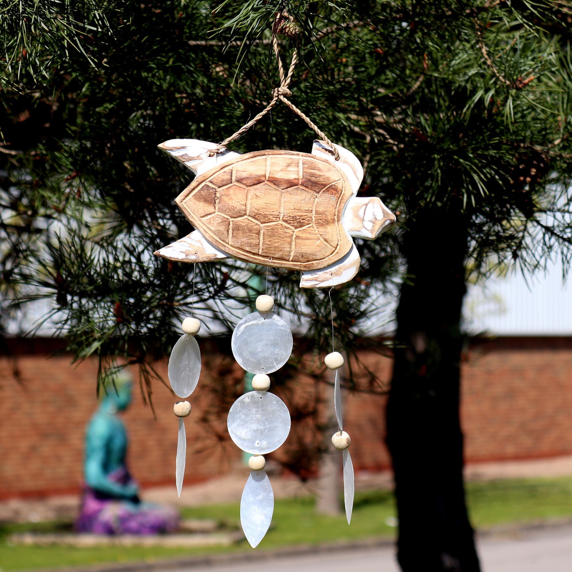 Whitewash Turtle Carving and Natural Copis Drop