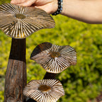 The Gilded Grove — Large Natural Mushroom Sculpture