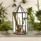 Crystal Sanctuary Lantern Terrarium