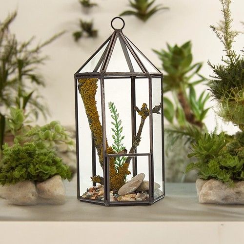 Crystal Sanctuary Lantern Terrarium