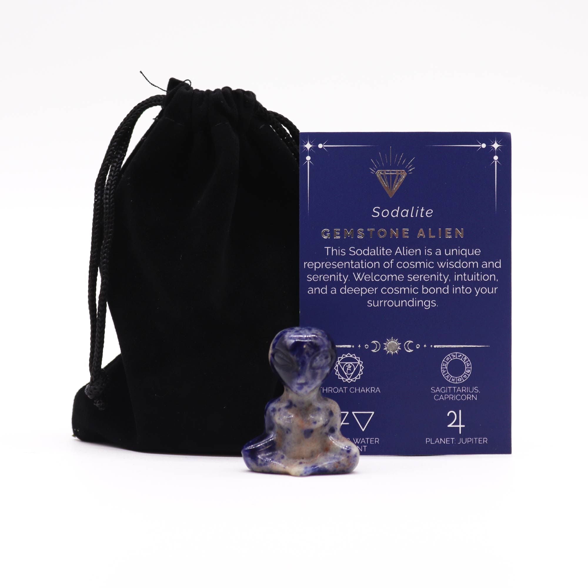 Sodalite Gemstone Alien
