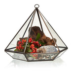 Geometric Crystal Display Terrarium — Large Diamond Brass Frame