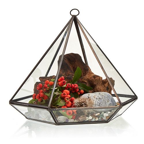 Geometric Crystal Display Terrarium — Large Diamond Brass Frame