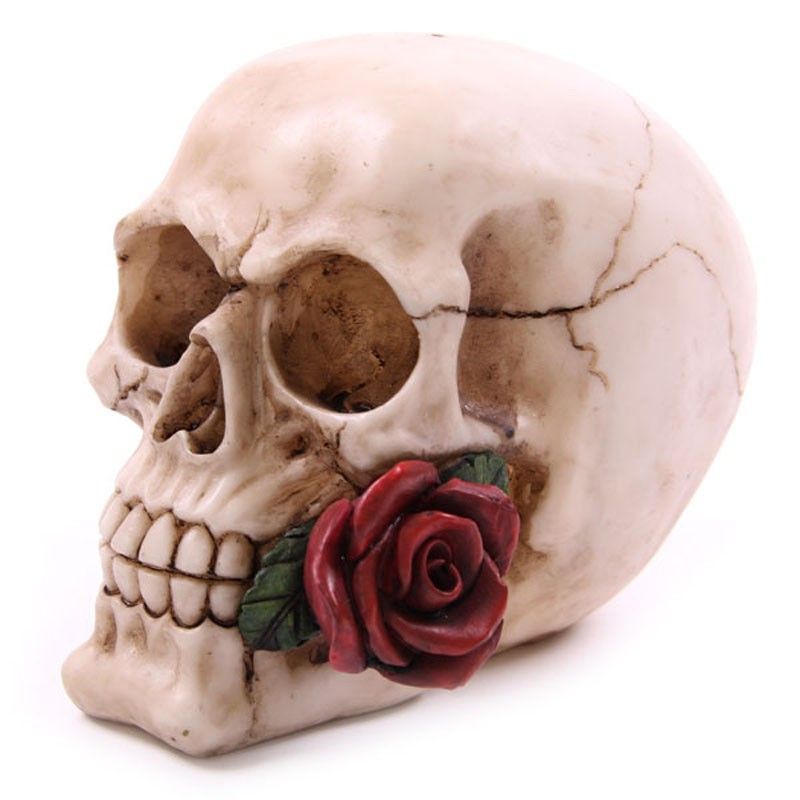 Skull with Roses Random Design