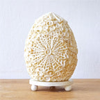 The Shell Lamp | Cut Art Oval