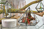 Geometric Crystal Display Terrarium — Large Diamond Brass Frame