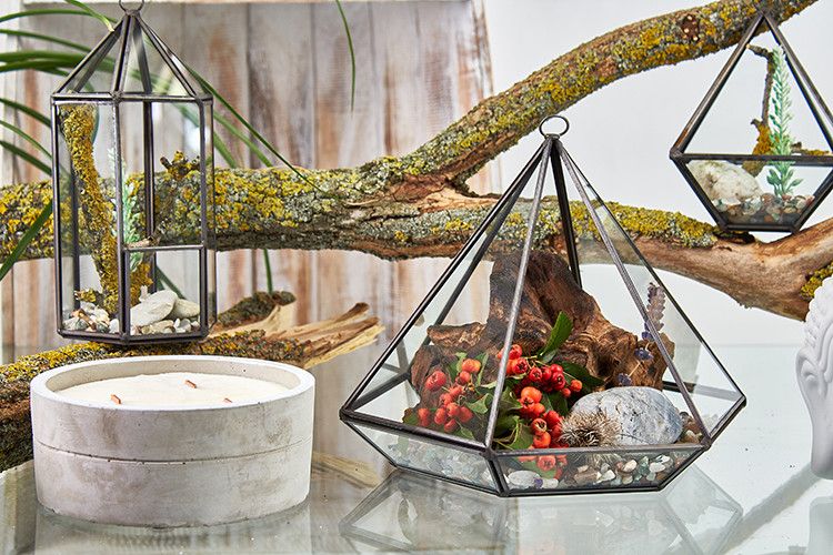 Geometric Crystal Display Terrarium — Large Diamond Brass Frame