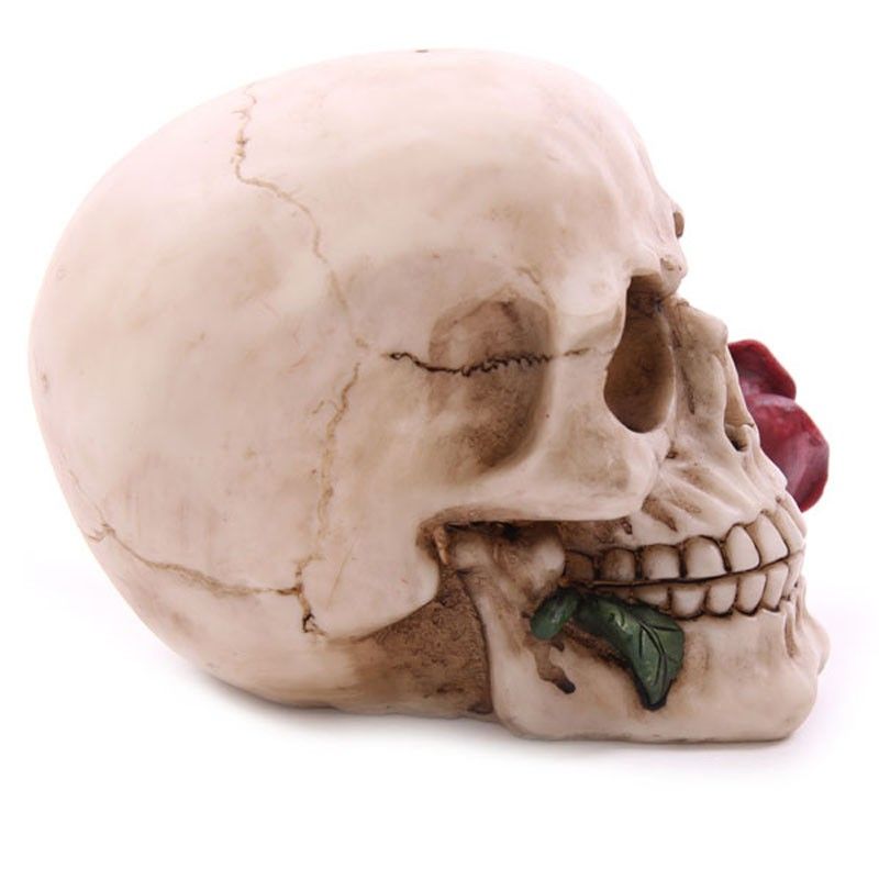 Skull with Roses Random Design