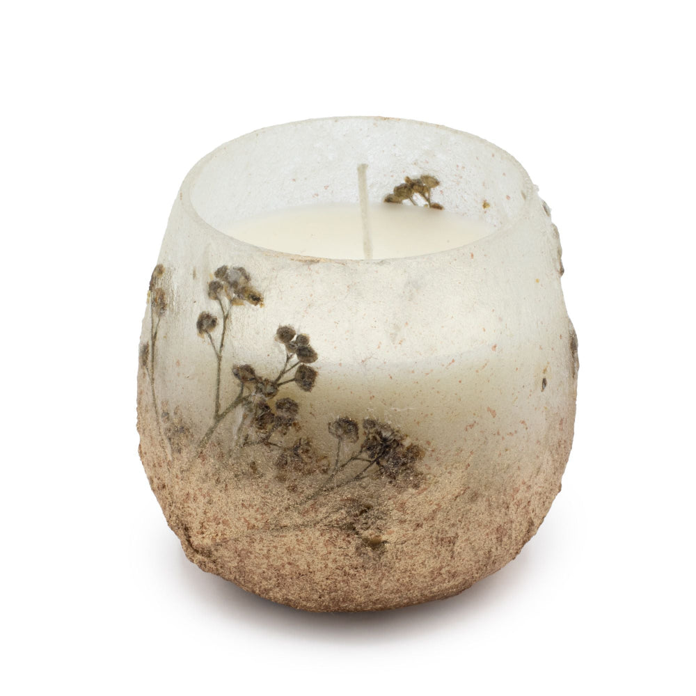 Wildlight Woods — Small Botanical Glass Jar Candle