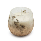 Wildlight Woods — Small Botanical Glass Jar Candle