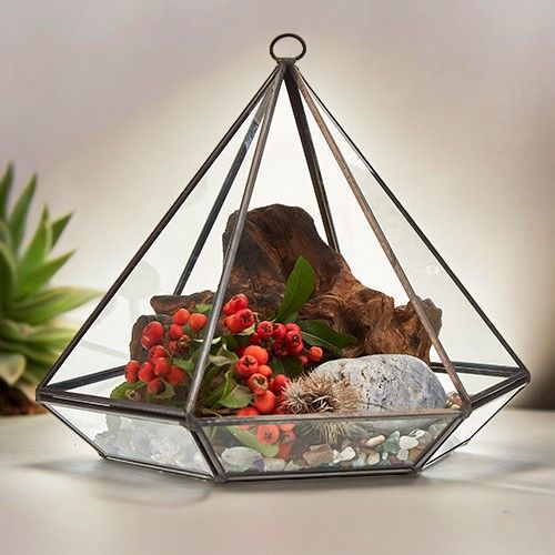 Geometric Crystal Display Terrarium — Large Diamond Brass Frame