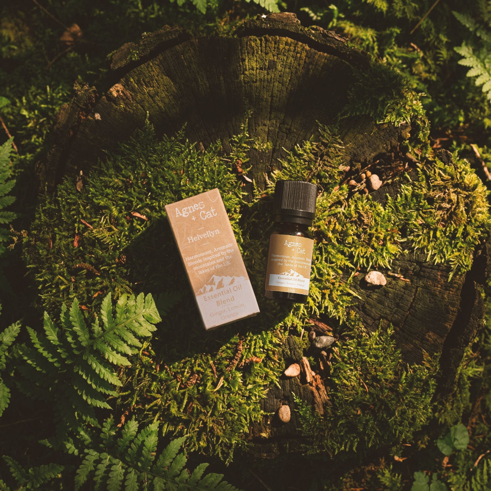 Helvellyn Ginger, Lemon & Orange Essential Oil Blend - Agnes + Cat