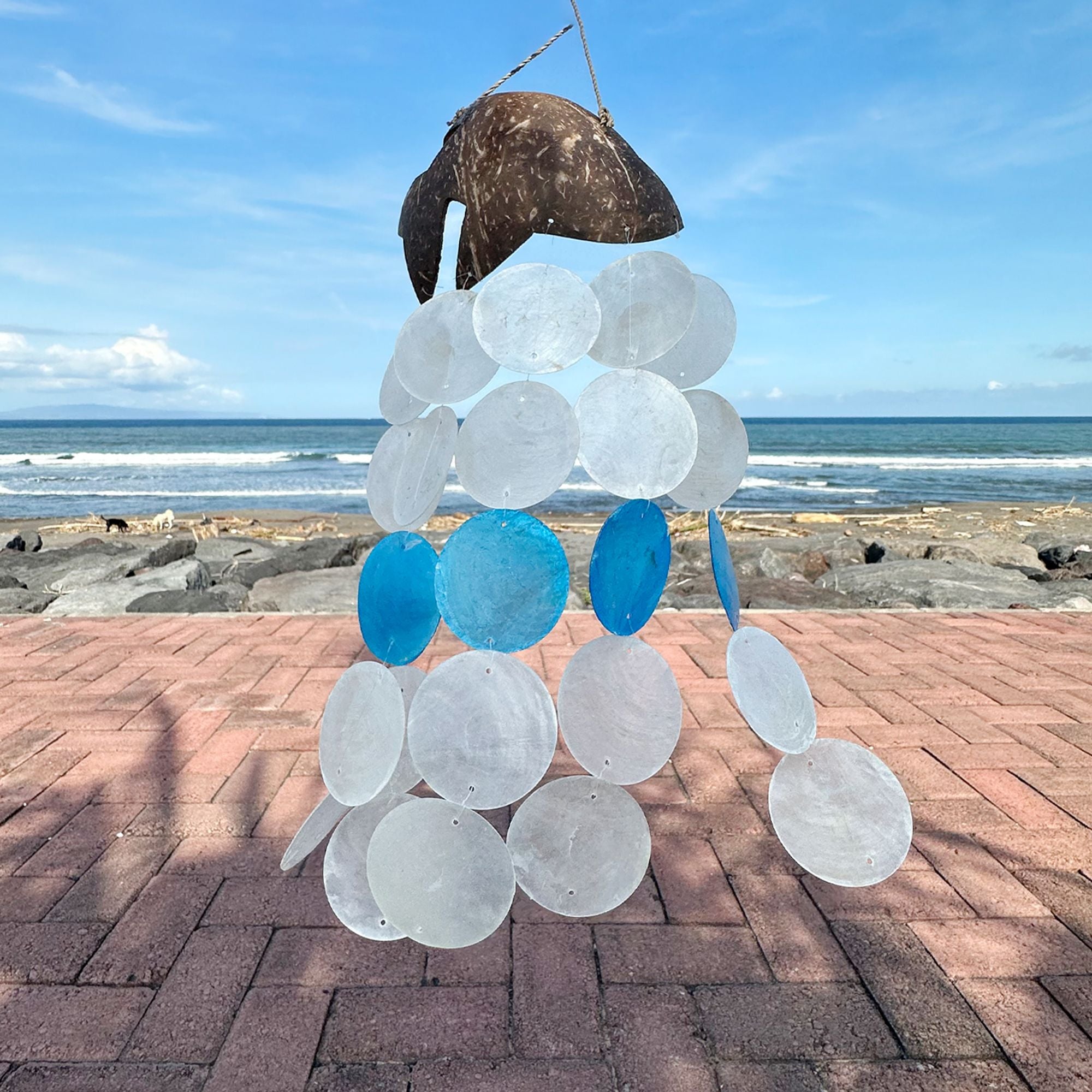 Blue Dolphin Coconut & Capiz Windchimes