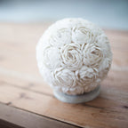 The Shell Lamp | Rose Globe