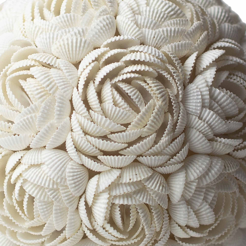 The Shell Lamp | Rose Globe