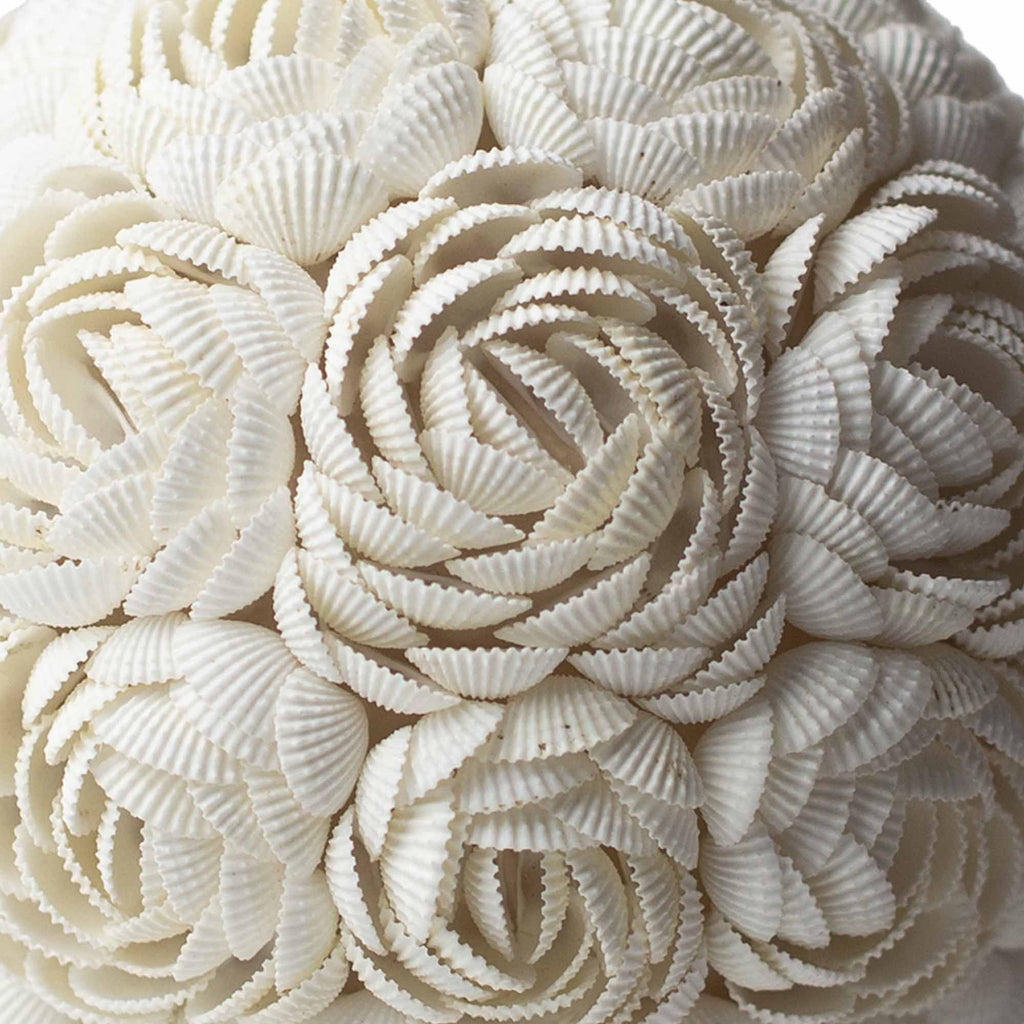 The Shell Lamp | Rose Oval Large