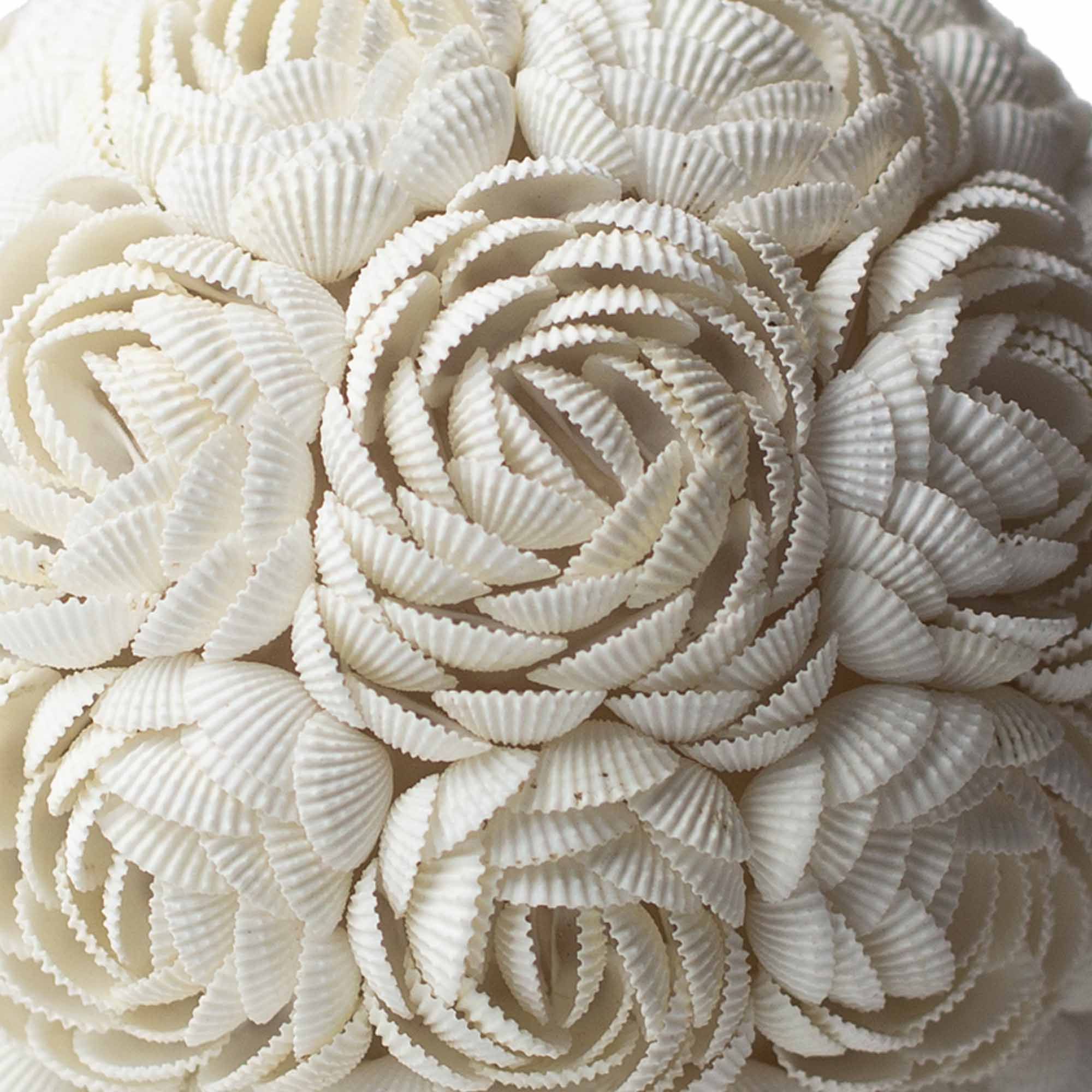 The Shell Lamp | Rose Oval Large