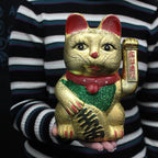 Money Cat Large