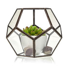 Geometric Crystal Display Terrarium — Large Octagon