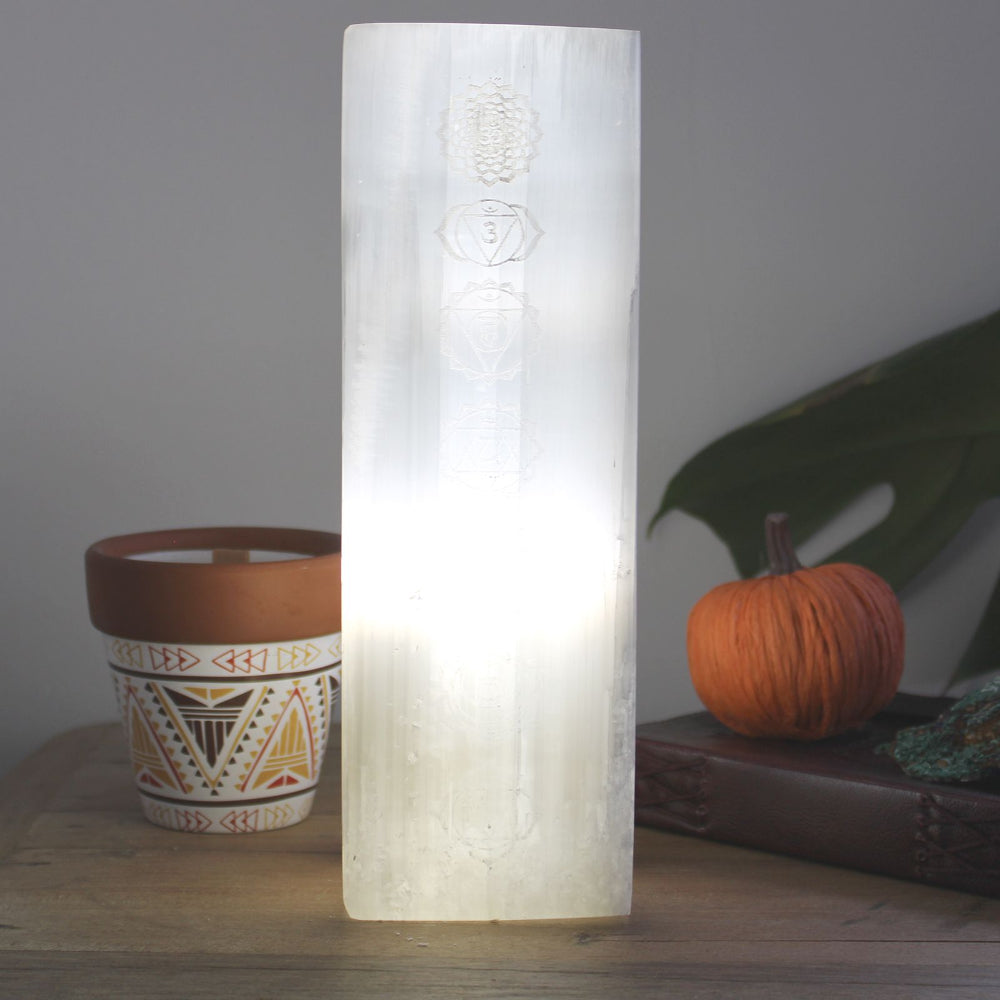 Decorative lamp with a plant and small pumpkin on a wooden surface