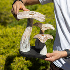 The Gilded Grove — Medium Whitewash Mushroom Sculpture