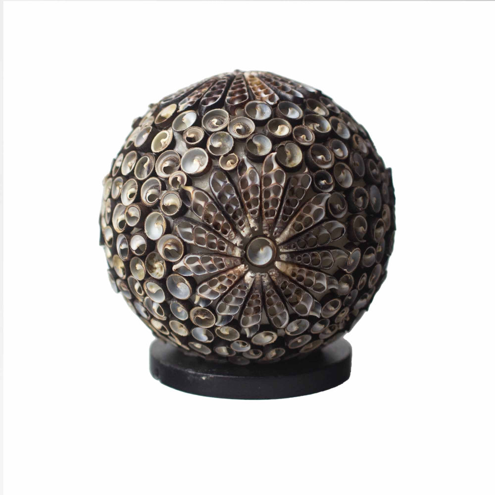 The Shell Lamp | Chocolate Twist Globe