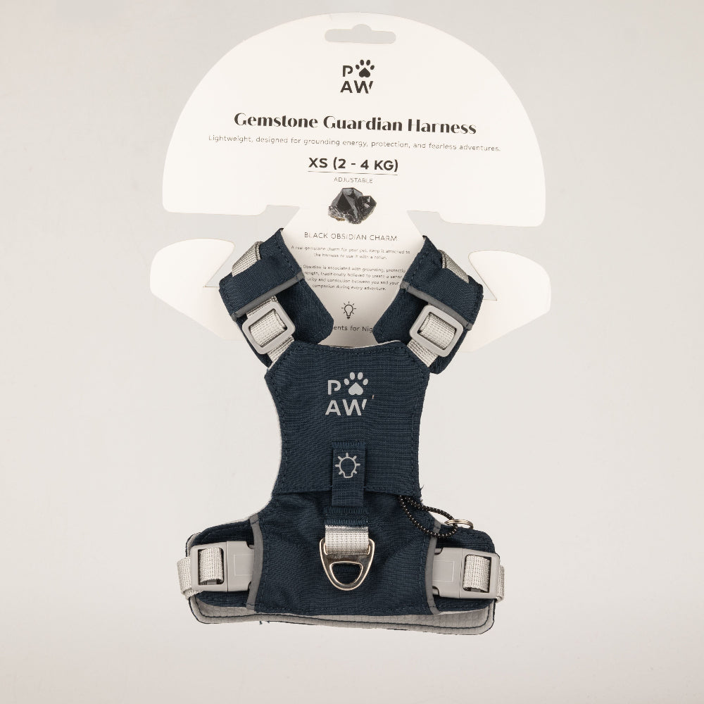 A navy blue and gray dog harness with silver buckles, displayed on its white cardboard packaging card. The brand 'PAW' is clearly visible on the harness and the packaging.