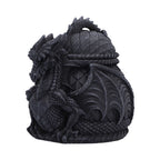 Darkwing Dragon Treasure Box
