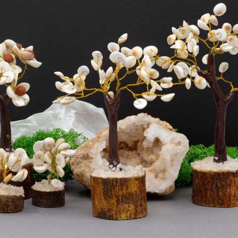 Gomati Chakra Circle Stone Tree Medium ( 45 stones )