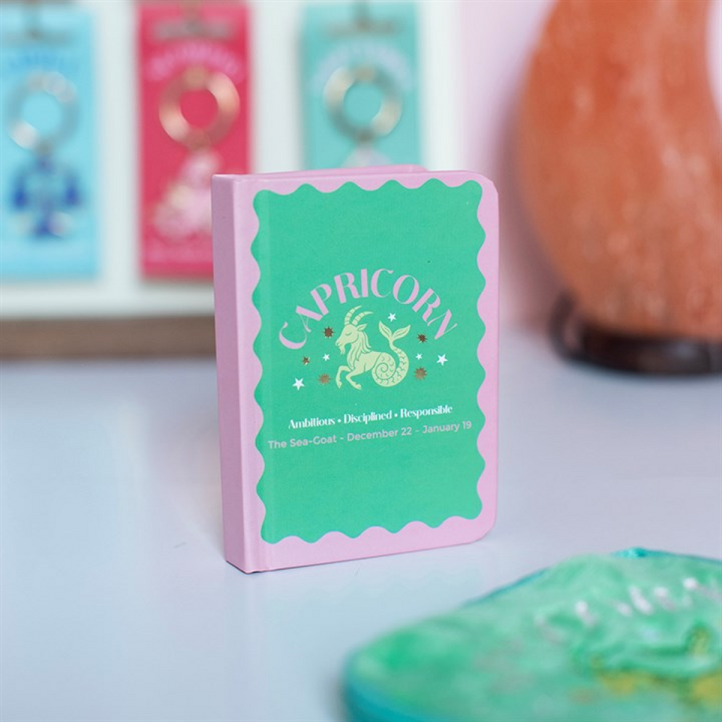 Zodiac Zest Capricorn Mini Notebook