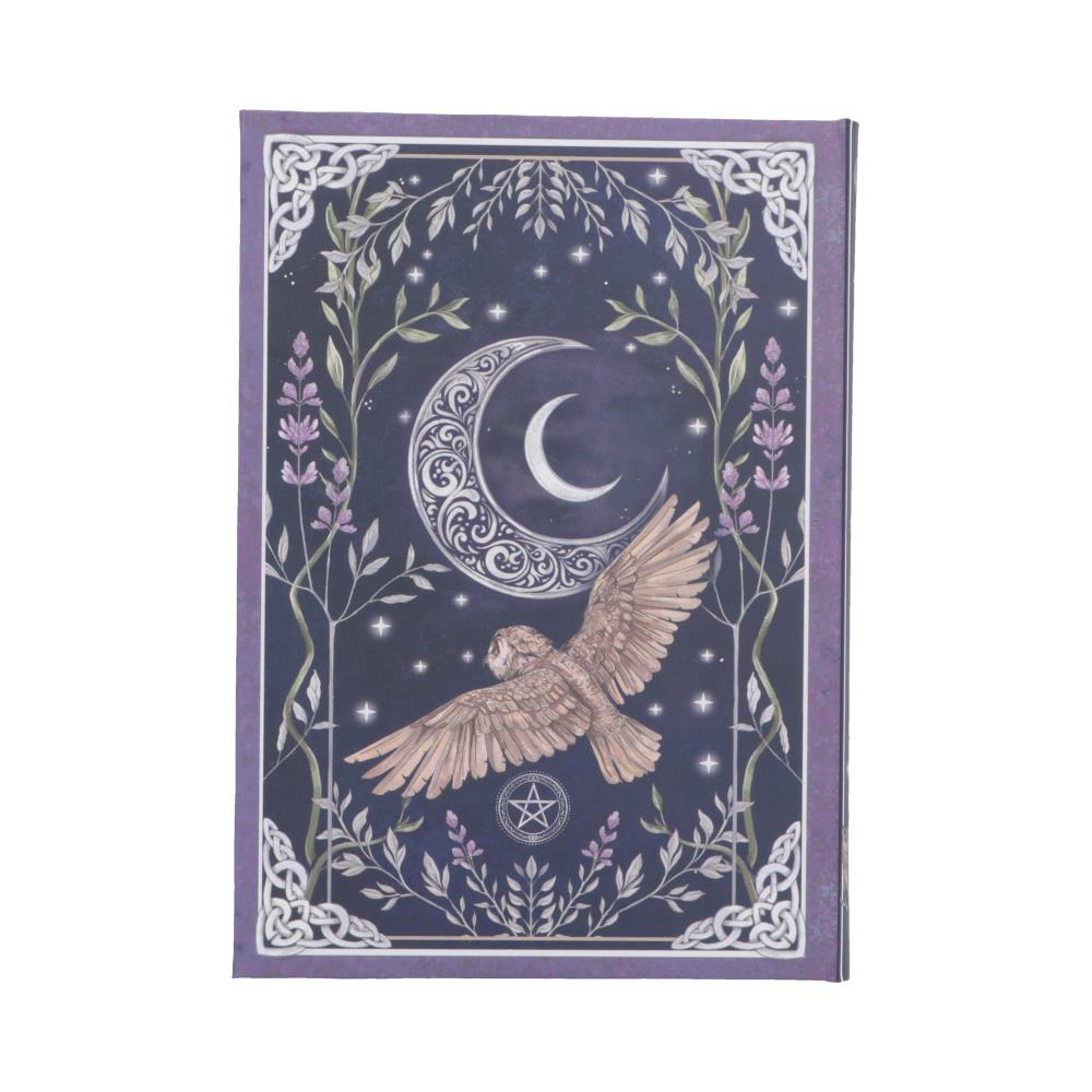Moon & Owl Blank Journal | 18cm