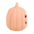 Eleanoras Terracotta Pumpkin Ornament 15cm 