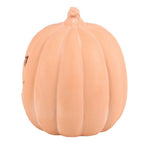 Eleanoras TERRACOTTA PUMPKIN ORNAMENT 22cm 