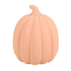Eleanoras Terracotta Pumpkin Ornament 15cm 