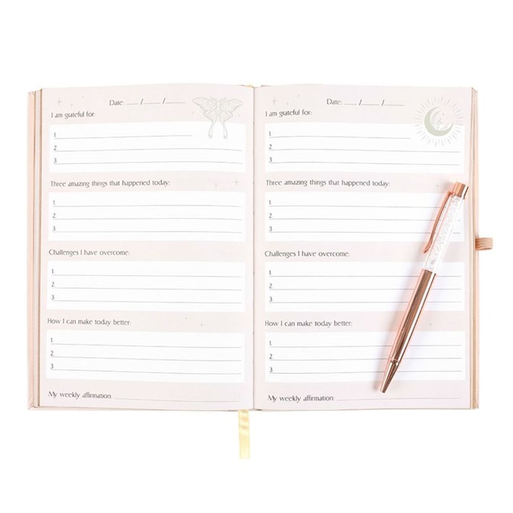 Eleanoras Luna Moth Daily Reflection Journal Notebooks & Journals