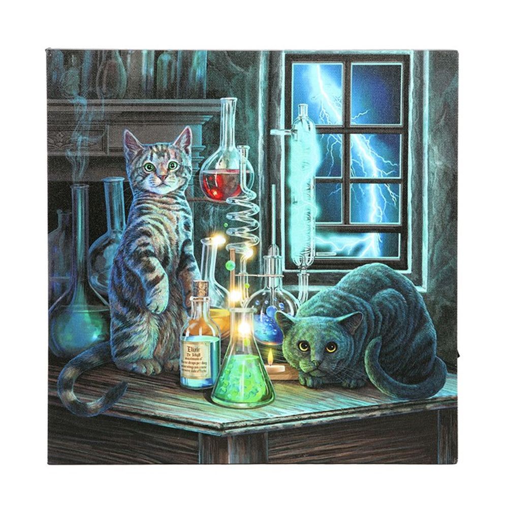 Eleanoras Jekyll & Hyde Light Up Canvas 