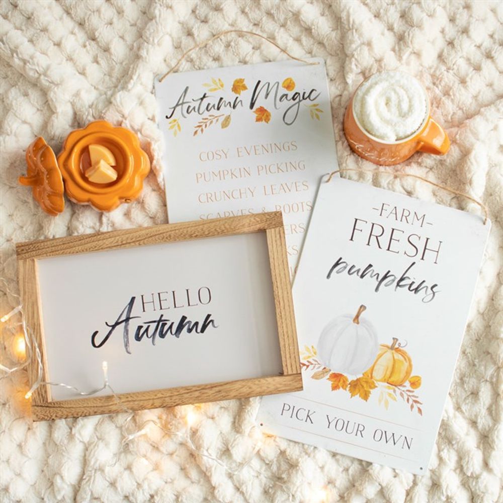 Eleanoras Hello Autumn Wooden Frame Sign Signs & Plaques